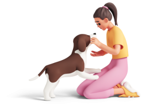 Ветеринарные услуги для собак